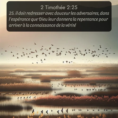 Segond 2 Timothée  ; image nature: image avec le verset biblique :il doit redresser avec douceur les adversaires, dans l&#039;espérance que Dieu leur donnera la repentance pour arriver à la connaissance de la vérité, ;  ; 2:25