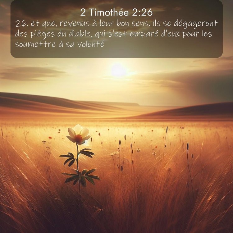 Segond 2 Timothée 2:26