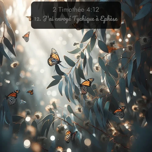Segond 2 Timothée  ; image nature: image avec le verset biblique :J&#039;ai envoyé Tychique à Ephèse. ;  ; 4:12