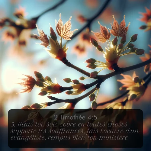 Segond 2 Timothée  ; image nature: image avec le verset biblique :Mais toi, sois sobre en toutes choses, supporte les souffrances, fais l&#039;oeuvre d&#039;un évangéliste, remplis bien ton ministère. ;  ; 4:5