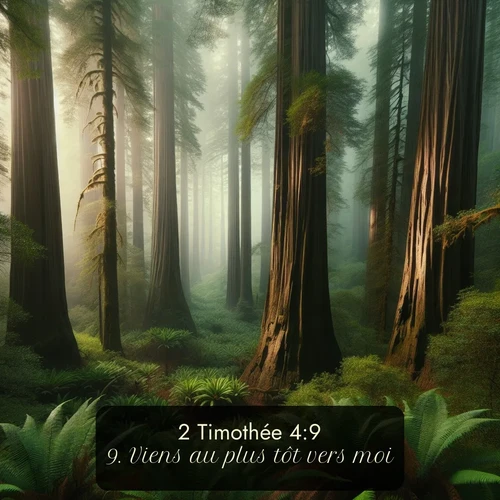 Segond 2 Timothée  ; image nature: image avec le verset biblique :Viens au plus tôt vers moi; ;  ; 4:9