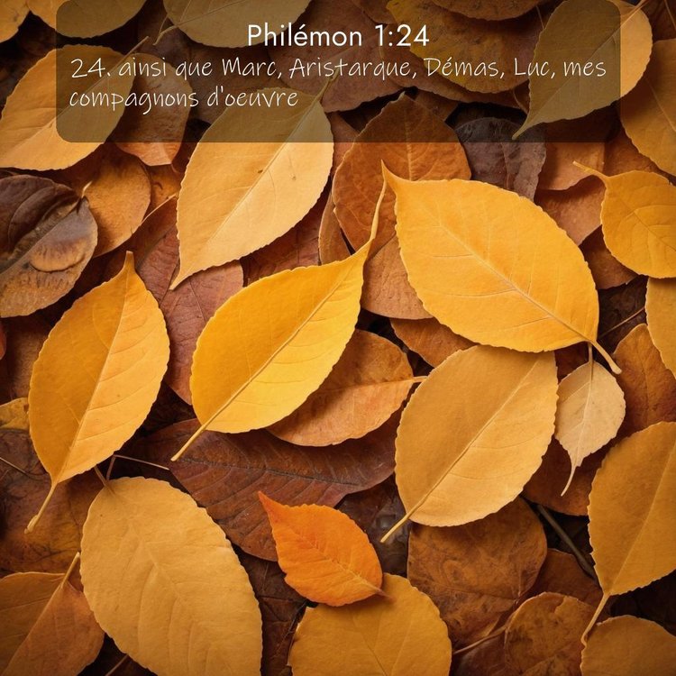 Segond Philémon 1:24