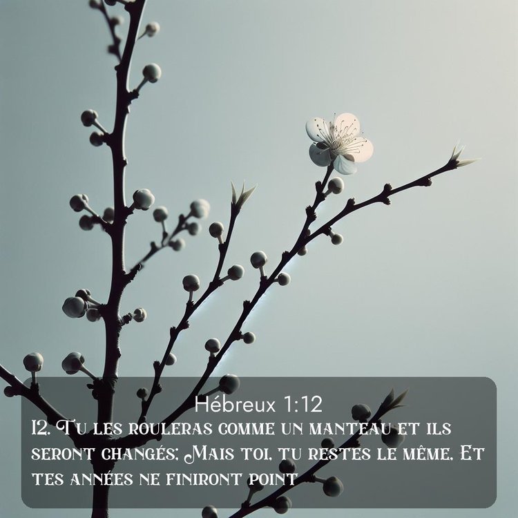 image nature avec verset biblique de la Bible
