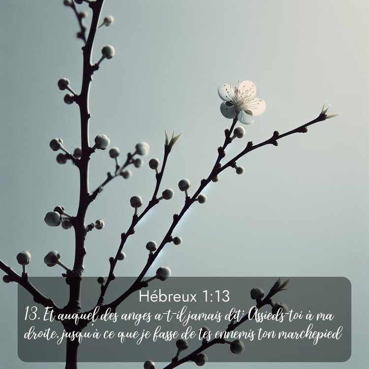 Segond Hébreux 1:13