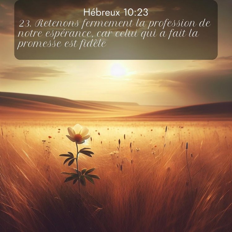 Segond Hébreux 10:23