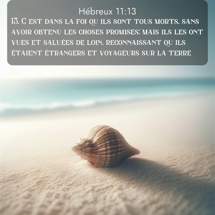 Segond Hébreux 11:13