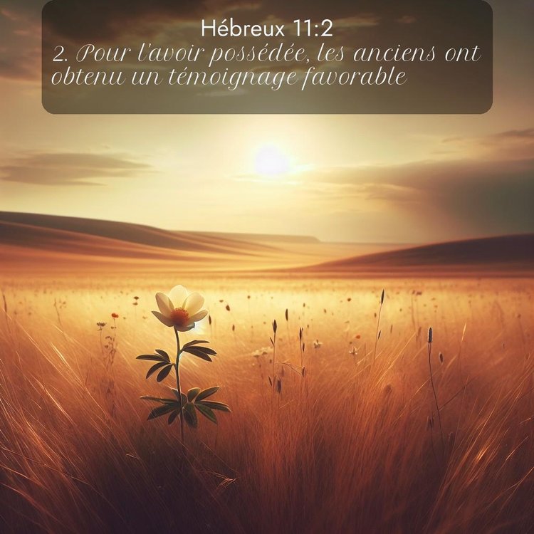 image nature avec verset biblique de la Bible