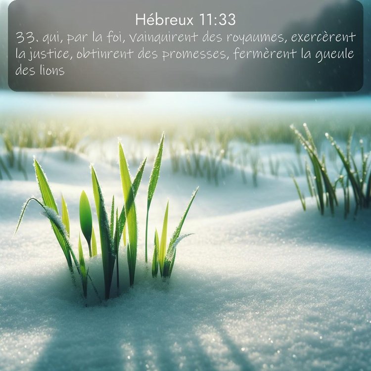 Segond Hébreux 11:33