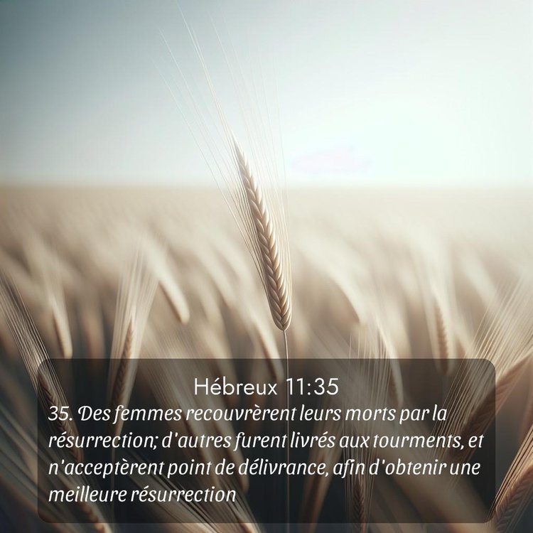 image nature avec verset biblique de la Bible