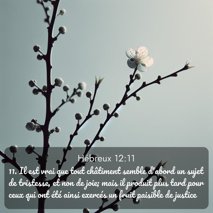 Segond Hébreux 12:11