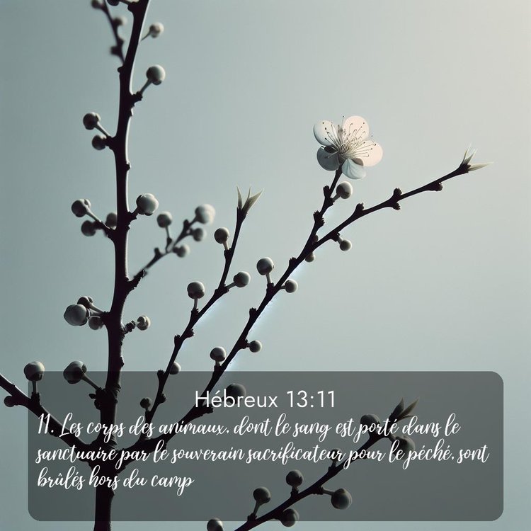 image nature avec verset biblique de la Bible