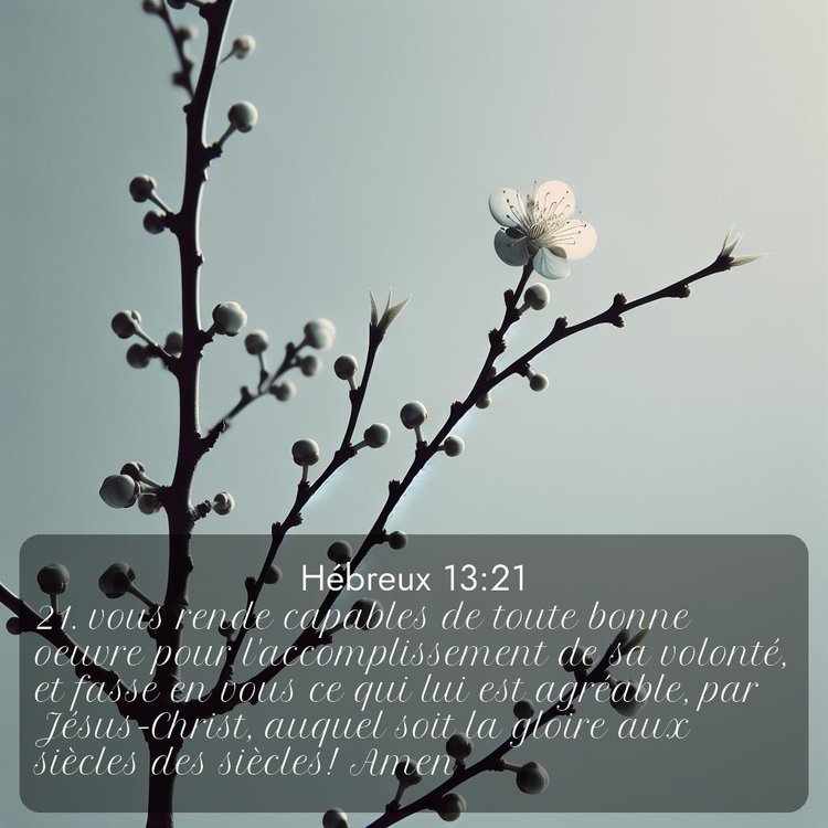 Segond Hébreux 13:21