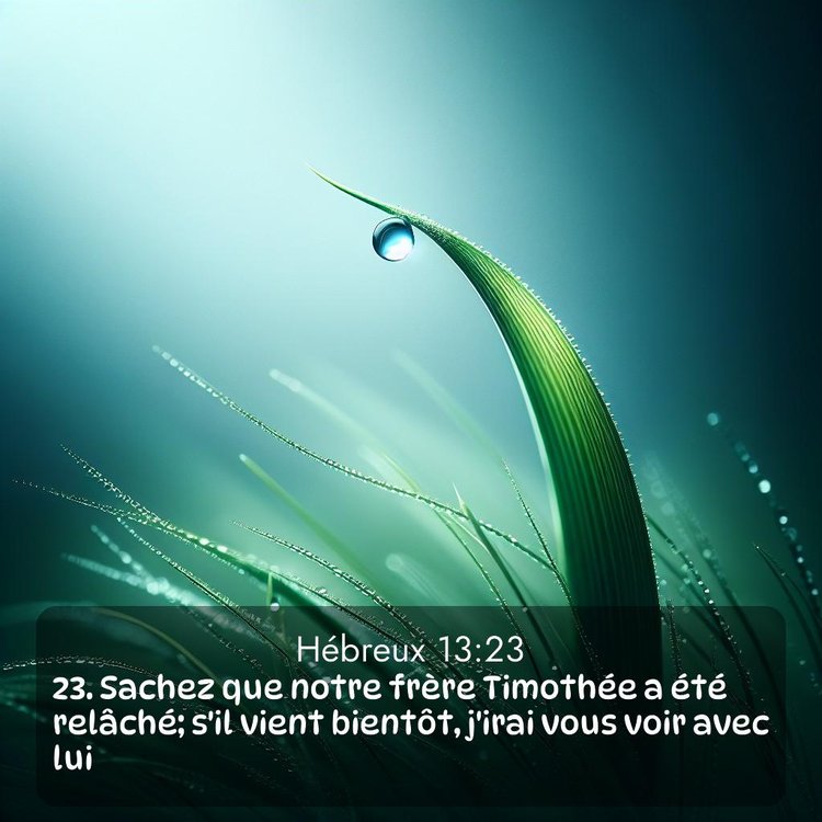 Bible Segond Hébreux 13:23