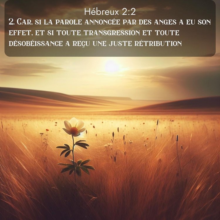 Segond Hébreux 2:2