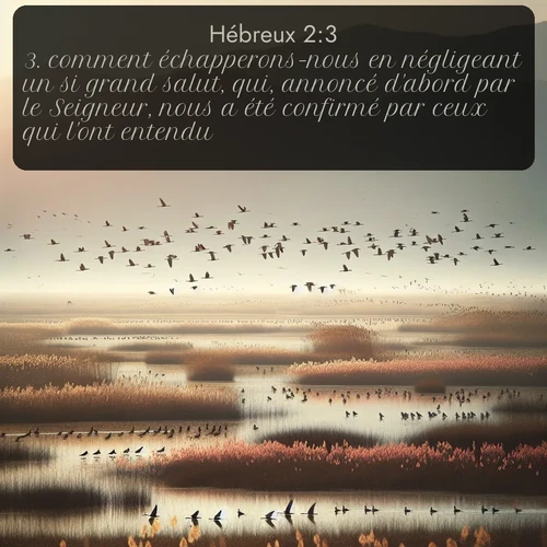Segond 58 2:3