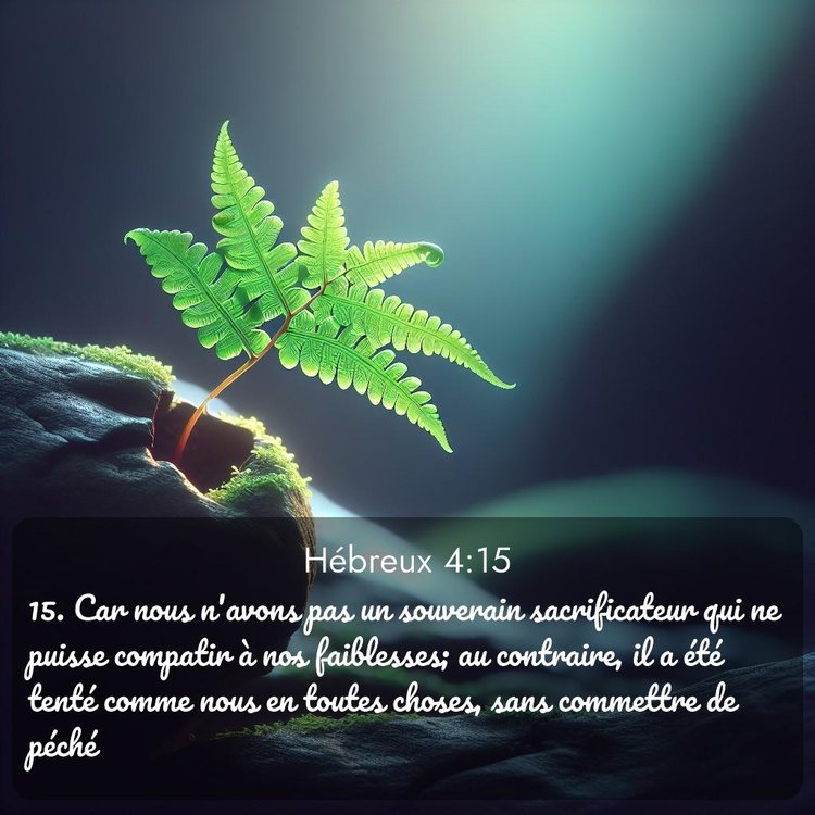 Segond Hébreux 4:15