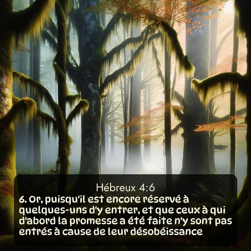 Segond Hébreux  ; image nature: image avec le verset biblique :Or, puisqu&#039;il est encore réservé à quelques-uns d&#039;y entrer, et que ceux à qui d&#039;abord la promesse a été faite n&#039;y sont pas entrés à cause de leur désobéissance, ;  ; 4:6