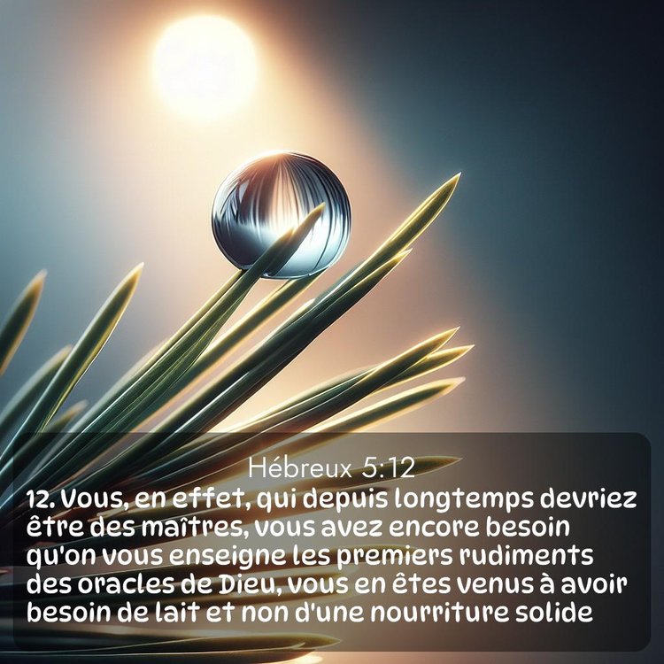 Segond Hébreux 5:12