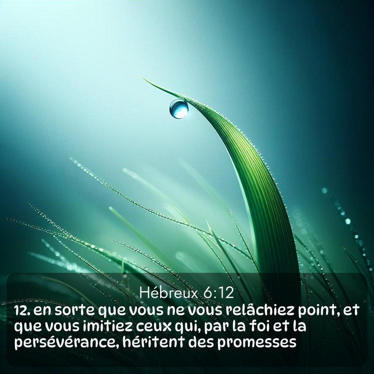 Segond Hébreux 6:12