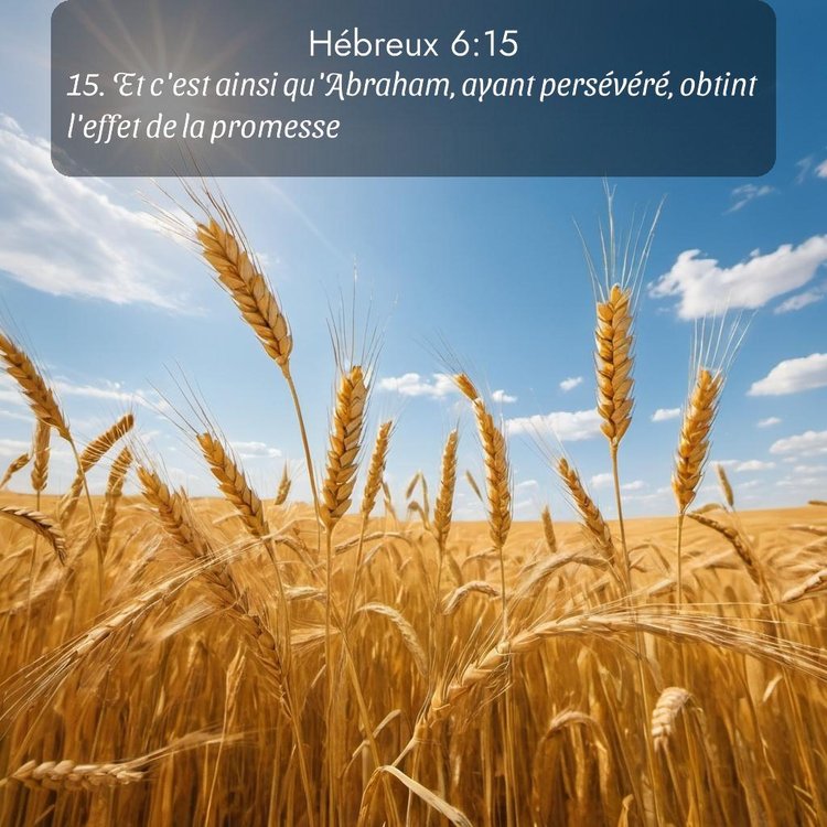 Segond Hébreux 6:15