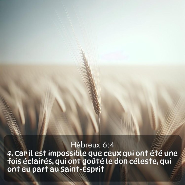 Segond Hébreux 6:4