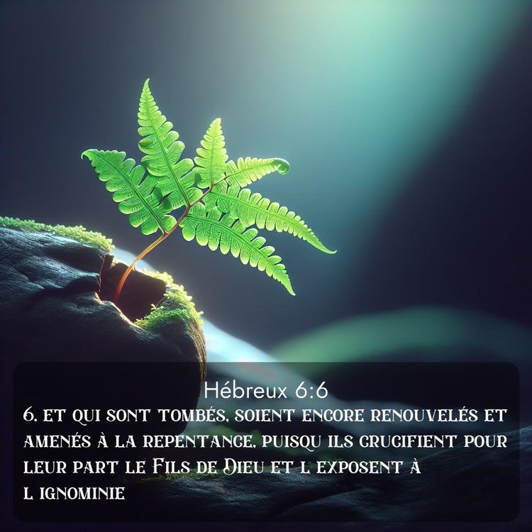 Segond Hébreux 6:6