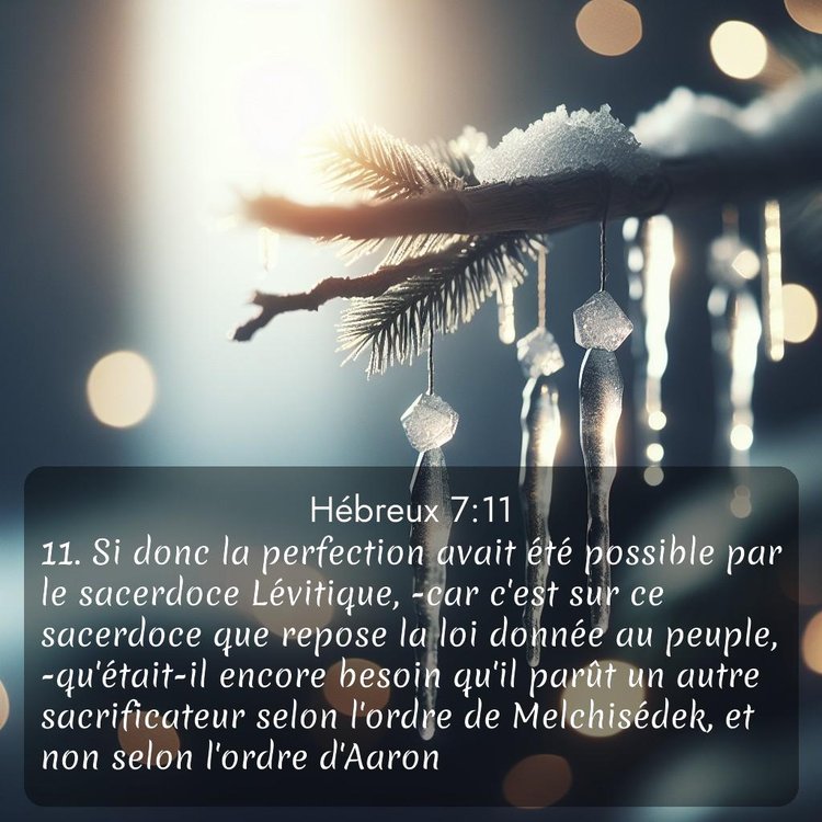 Segond Hébreux 7:11