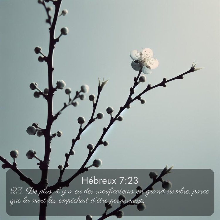 Segond Hébreux 7:23