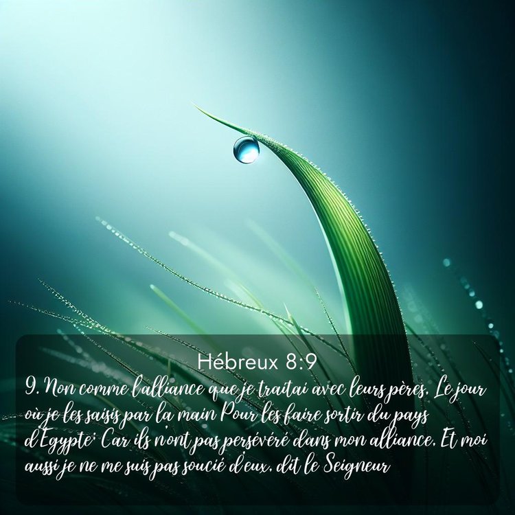 image nature avec verset biblique de la Bible