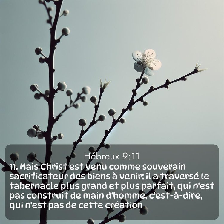 Segond Hébreux 9:11