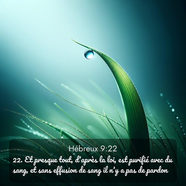 Segond Hébreux 9:22