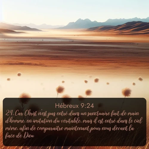 Segond Hébreux  ; image nature: image avec le verset biblique :Car Christ n&#039;est pas entré dans un sanctuaire fait de main d&#039;homme, en imitation du véritable, mais il est entré dans le ciel même, afin de comparaître maintenant pour nous devant la face de Dieu. ;  ; 9:24