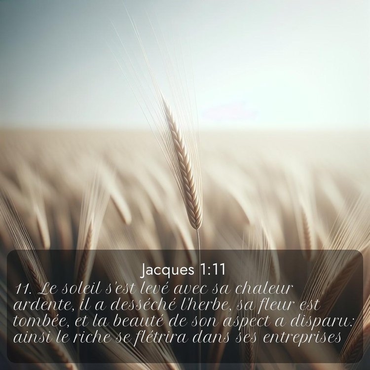 Segond Jacques 1:11