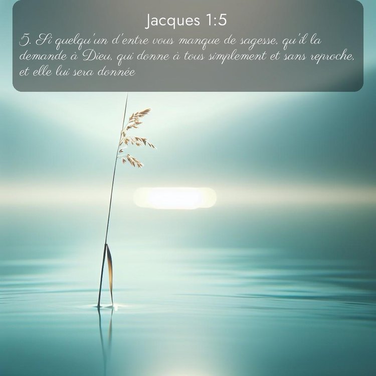 Segond Jacques 1:5