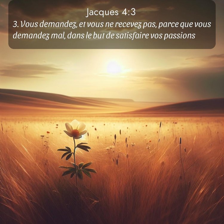 image nature avec verset biblique de la Bible