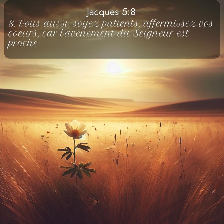 Segond Jacques 5:8