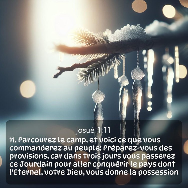 Segond Josué 1:11