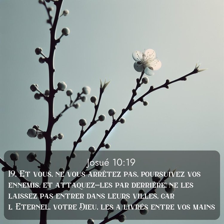 image nature avec verset biblique de la Bible