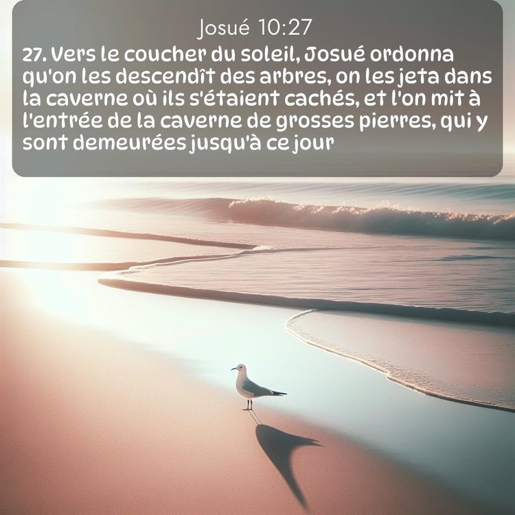 Segond Josué 10:27