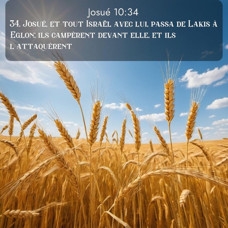 Segond Josué 10:34