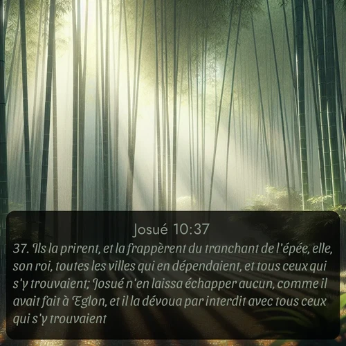 Segond Josué  ; image nature: image avec le verset biblique :Ils la prirent, et la frappèrent du tranchant de l&#039;épée, elle, son roi, toutes les villes qui en dépendaient, et tous ceux qui s&#039;y trouvaient; Josué n&#039;en laissa échapper aucun, comme il avait fait à Eglon, et il la dévoua par interdit avec tous ceux qui s&#039;y trouvaient. ;  ; 10:37