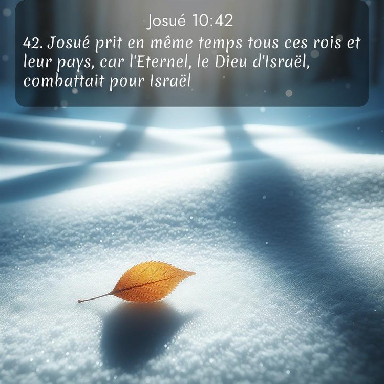 Segond Josué 10:42