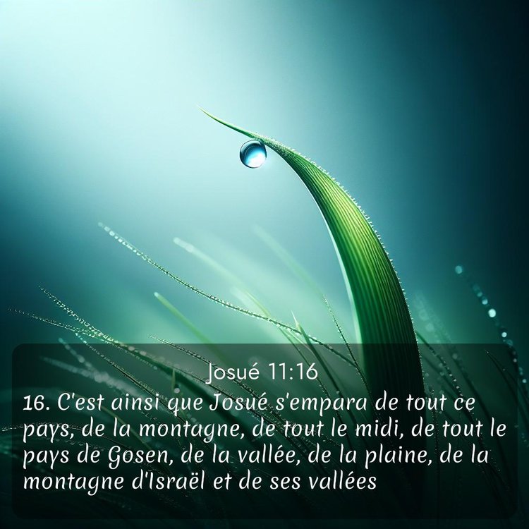 image nature avec verset biblique de la Bible