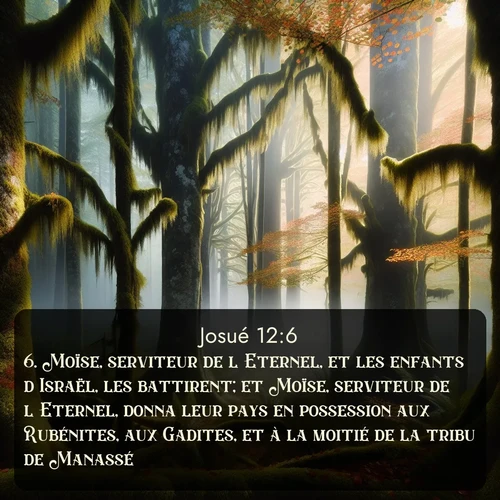 Segond Josué  ; image nature: image avec le verset biblique :Moïse, serviteur de l&#039;Eternel, et les enfants d&#039;Israël, les battirent; et Moïse, serviteur de l&#039;Eternel, donna leur pays en possession aux Rubénites, aux Gadites, et à la moitié de la tribu de Manassé. ;  ; 12:6