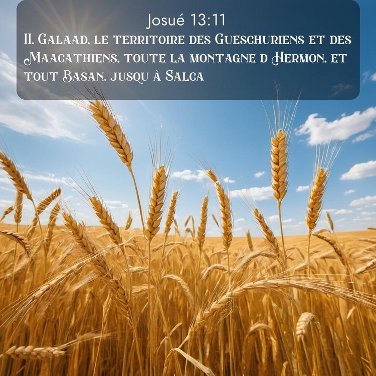 Segond Josué 13:11