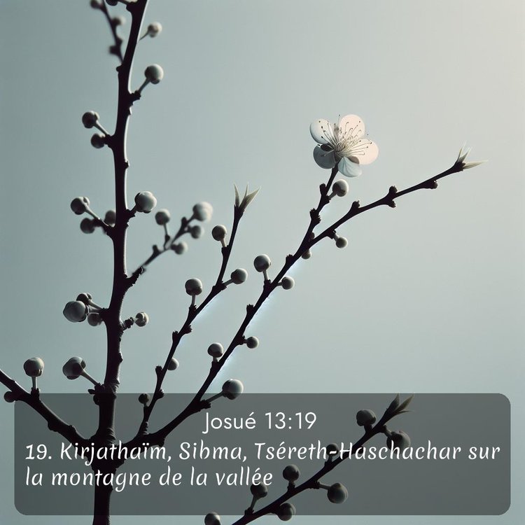 image nature avec verset biblique de la Bible