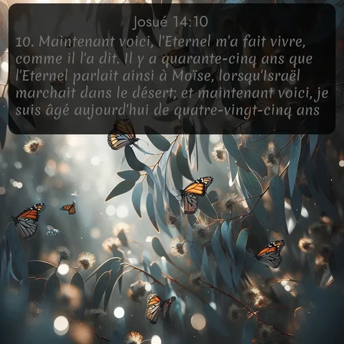 Segond Josué  ; image nature: image avec le verset biblique :Maintenant voici, l&#039;Eternel m&#039;a fait vivre, comme il l&#039;a dit. Il y a quarante-cinq ans que l&#039;Eternel parlait ainsi à Moïse, lorsqu&#039;Israël marchait dans le désert; et maintenant voici, je suis âgé aujourd&#039;hui de quatre-vingt-cinq ans. ;  ; 14:10
