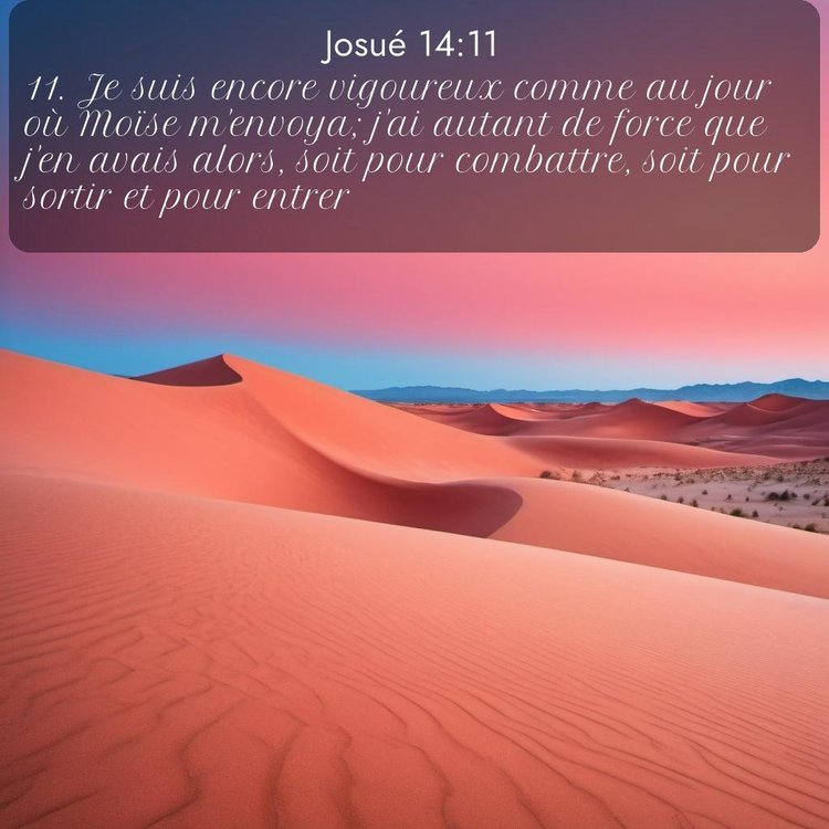 Segond Josué 14:11