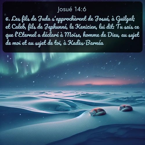 Segond Josué  ; image nature: image avec le verset biblique :Les fils de Juda s&#039;approchèrent de Josué, à Guilgal; et Caleb, fils de Jephunné, le Kenizien, lui dit: Tu sais ce que l&#039;Eternel a déclaré à Moïse, homme de Dieu, au sujet de moi et au sujet de toi, à Kadès-Barnéa. ;  ; 14:6