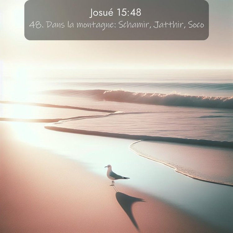 Segond Josué 15:48